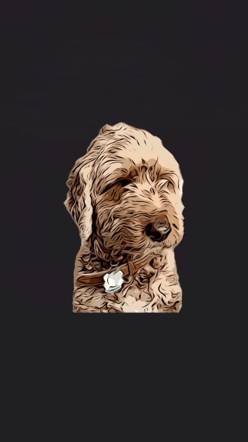 ios stickers reel